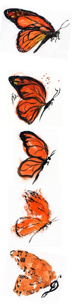 butterfly study